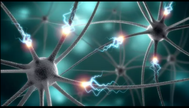 epilepsi