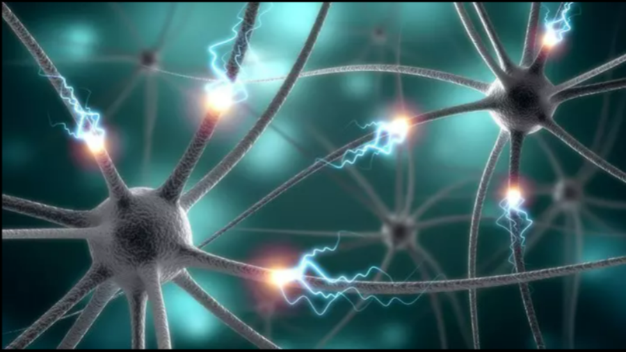 epilepsi