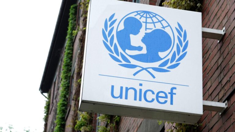 unicef - nijerya