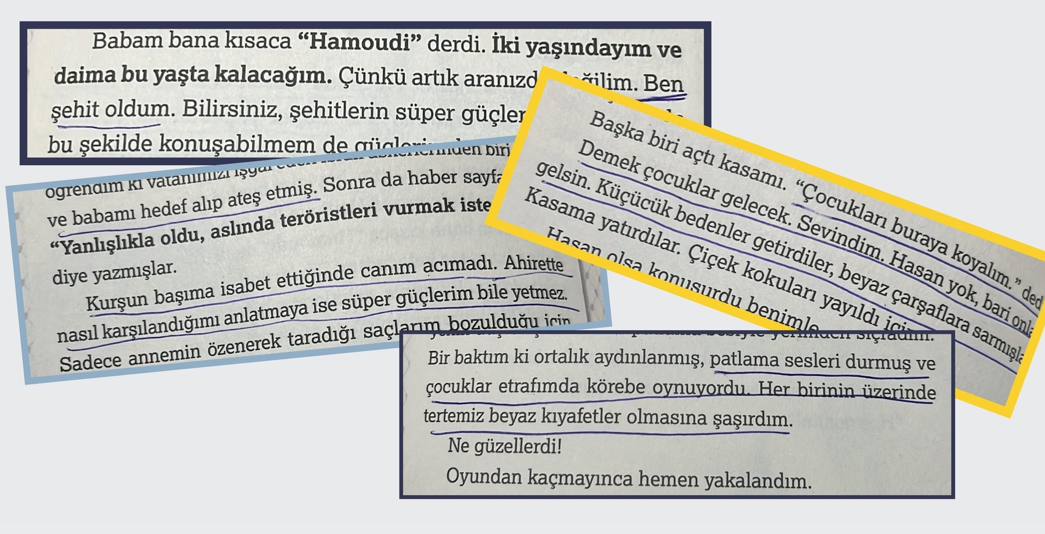 Van Eğitim-Sen “TÜGVA’nın Kitapları Çocukların Duygu Dünyasını Tahrip Ediyor”