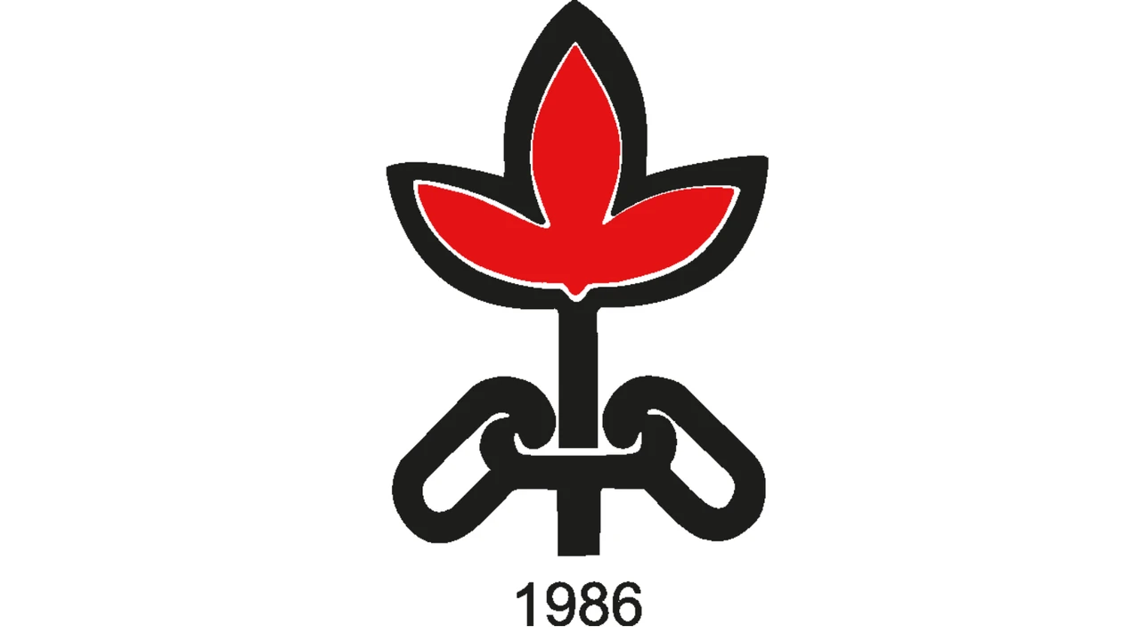 İHD: MESEM çalıştırılan çocuklar için bir eğitim değil, hak ihlali sistemi